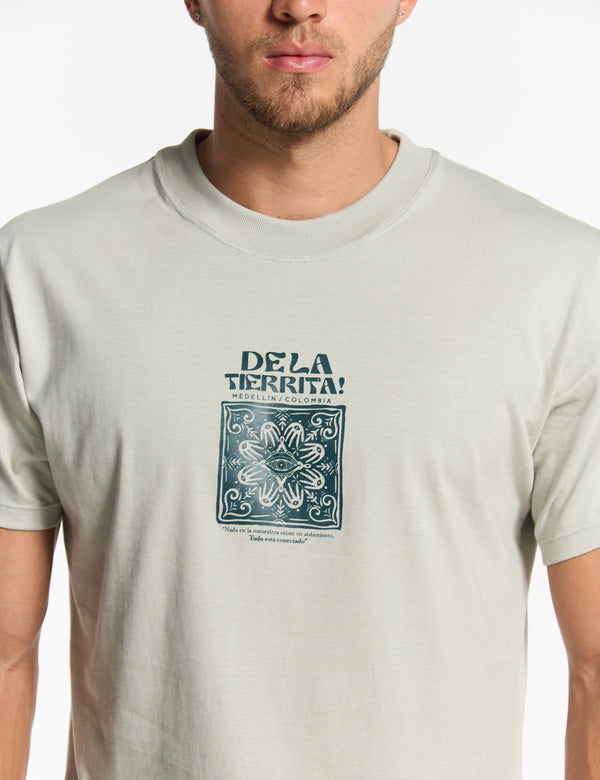 Men's Regular Fit T-shirt in pale green