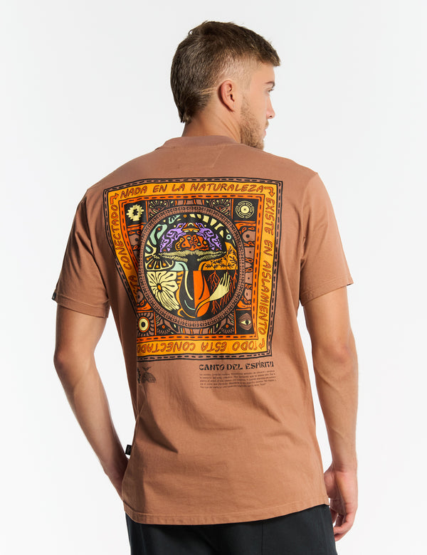 Regular fit t-shirt Origin brown