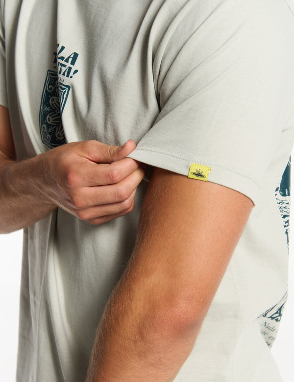 Men's Regular Fit T-shirt in pale green