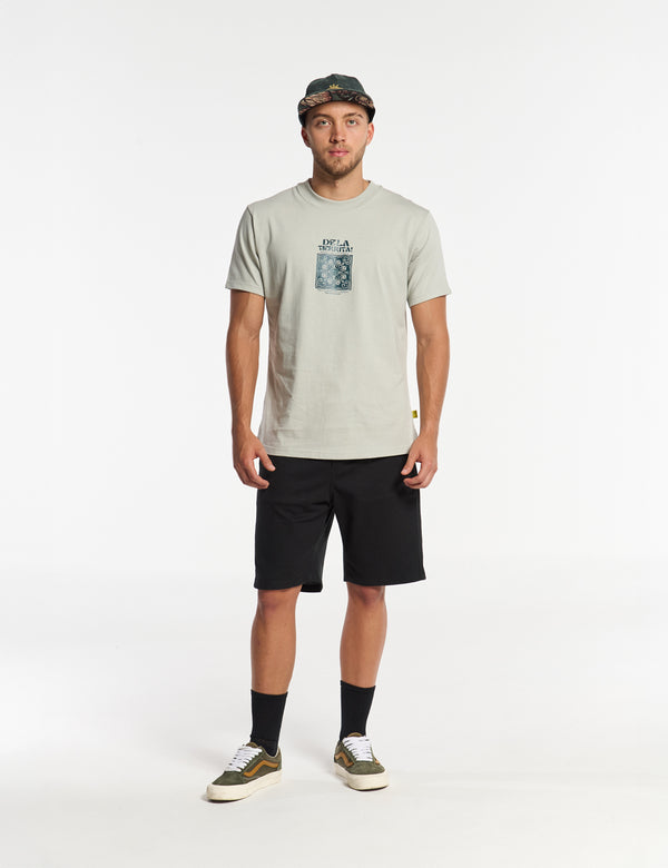 Men's Regular Fit T-shirt in pale green