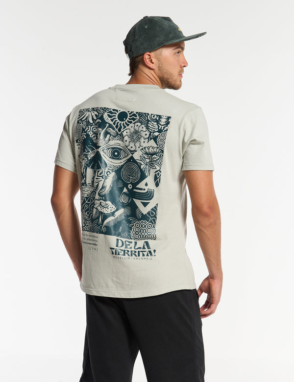 Men's Regular Fit T-shirt in pale green