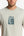 Men's Regular Fit T-shirt in pale green